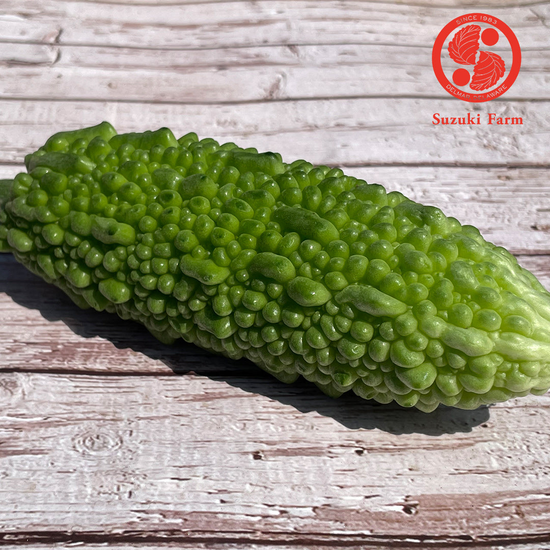 NIGAURI Bitter melon | Suzuki Farm | 1-2pc, image 2 of 3