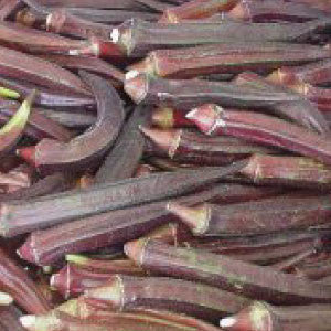 OKRA Seeds, Red Burgundy