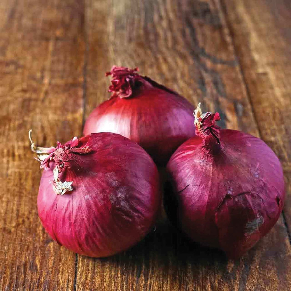 Red Wethersfield Onion by MIgardener