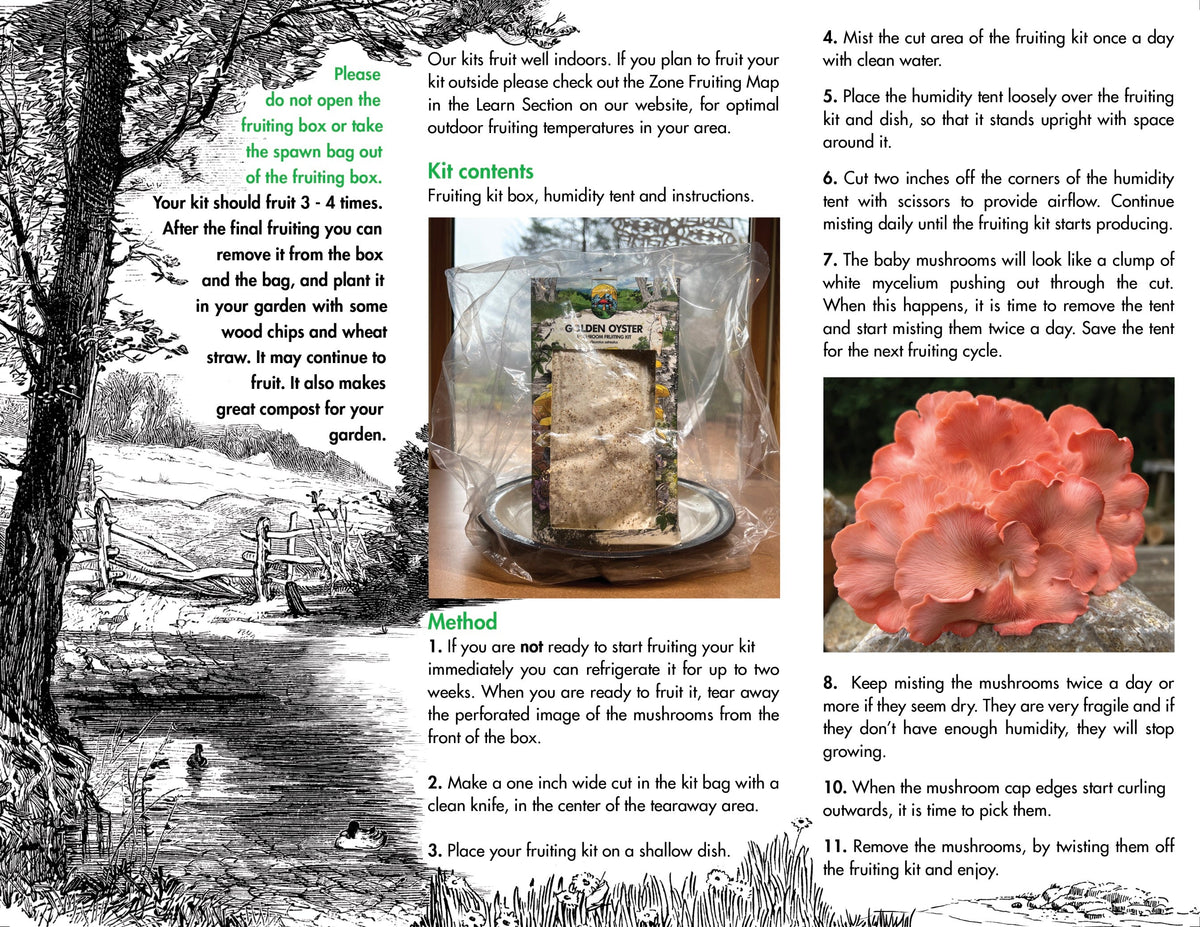 Oyster Mushroom Fruiting Kit - (Pleurotus spp.), Garden from Mushroom Mountain