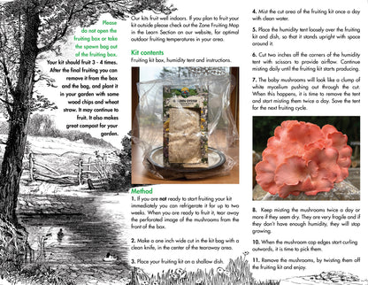 Oyster Mushroom Fruiting Kit - (Pleurotus spp.), Garden from Mushroom Mountain