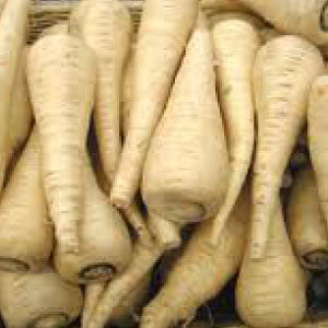 PARSNIP Seeds, Harris Model