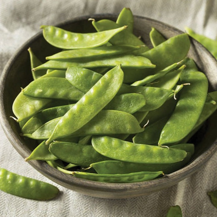 Mammoth Melting Snow Pea by MIgardener