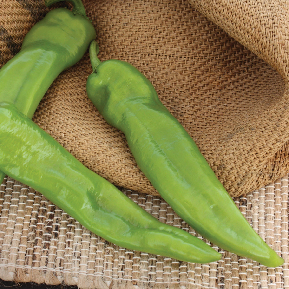 Anaheim Chili Pepper by MIgardener