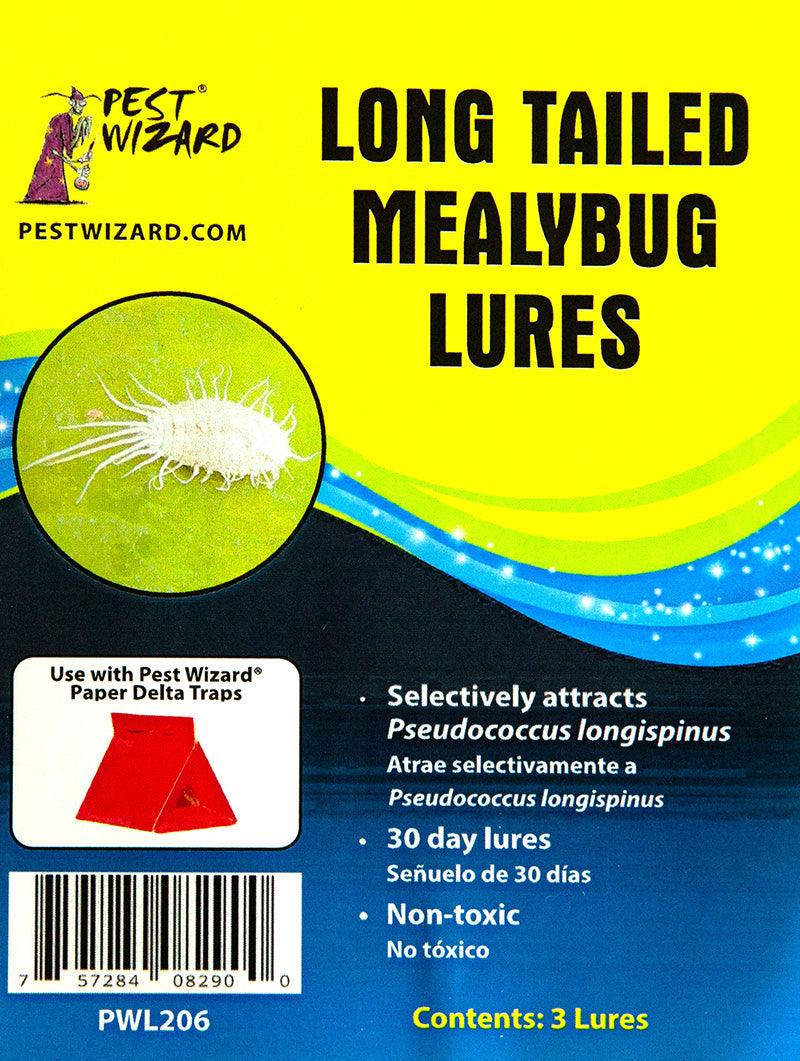 Pest Wizard Long Tailed Mealybug Lure 3-Pack, Garden from Grow Organic