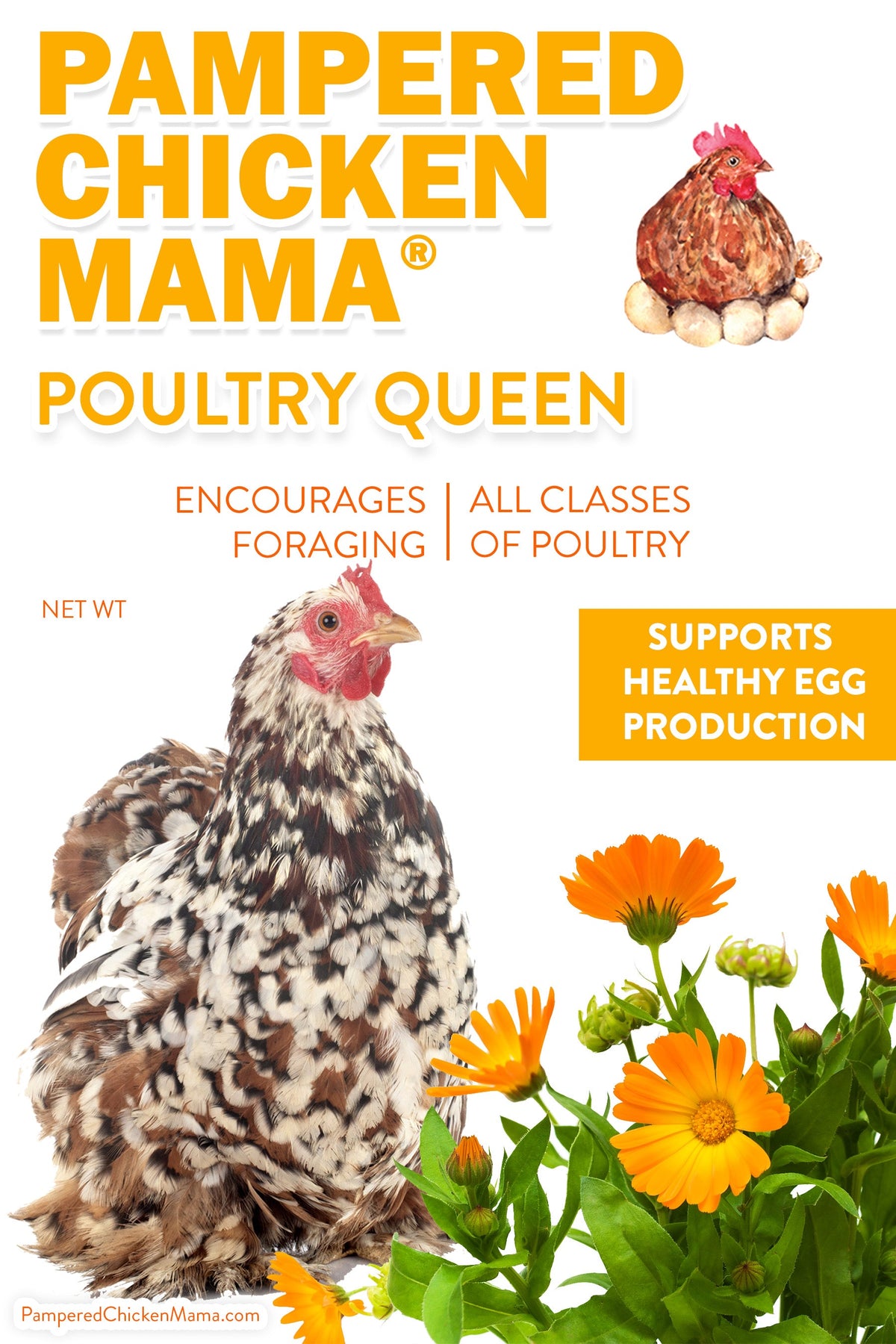 Poultry Queen Mealworm, Premium Corn, Flax Seeds, & Herb Treat For Pet Chickens from Dahlia Pets