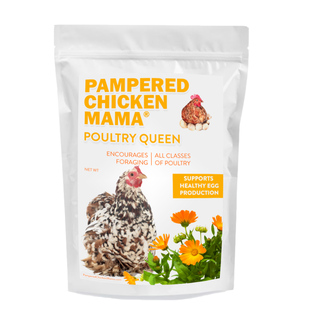 Poultry Queen Mealworm, Premium Corn, Flax Seeds, & Herb Treat For Pet Chickens from Dahlia Pets