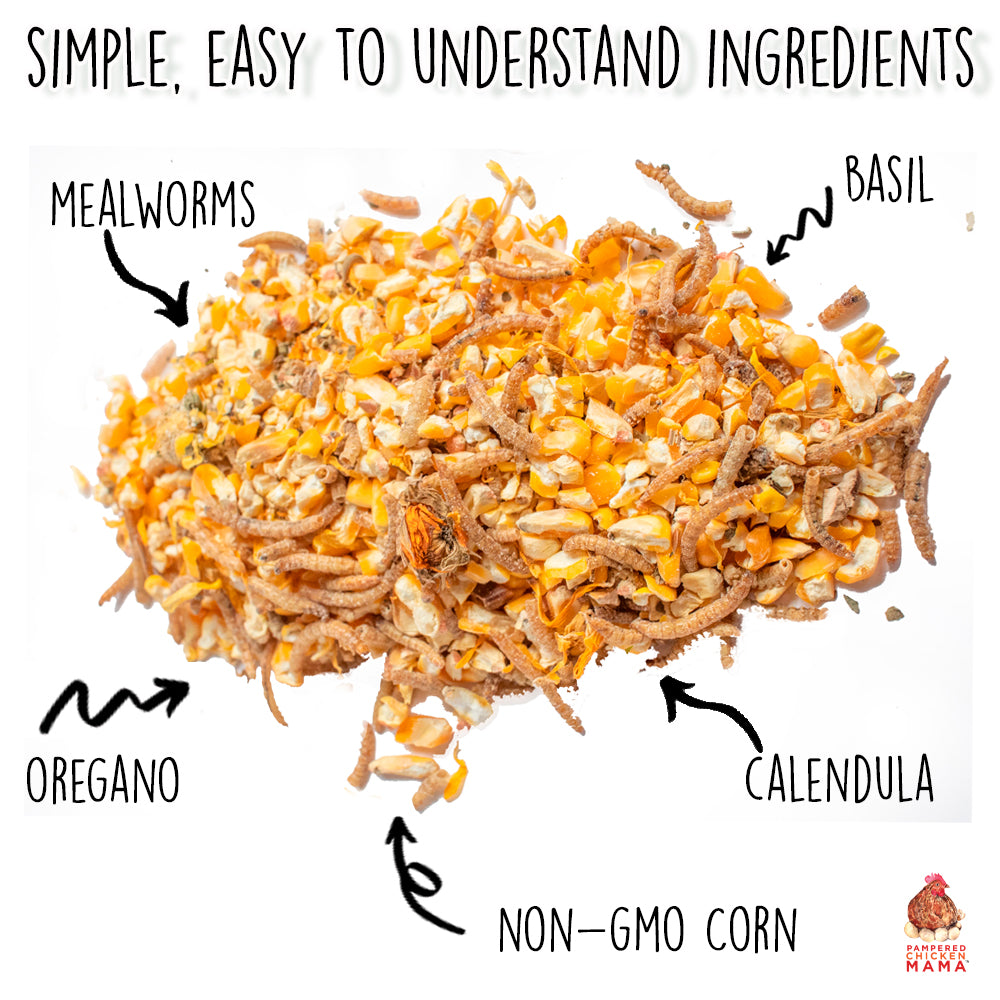 Poultry Queen Mealworm, Premium Corn, Flax Seeds, & Herb Treat For Pet Chickens from Dahlia Pets