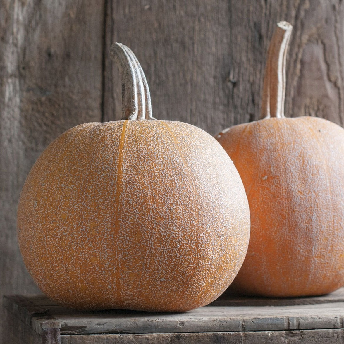 Winter Luxury Pumpkin by MIgardener