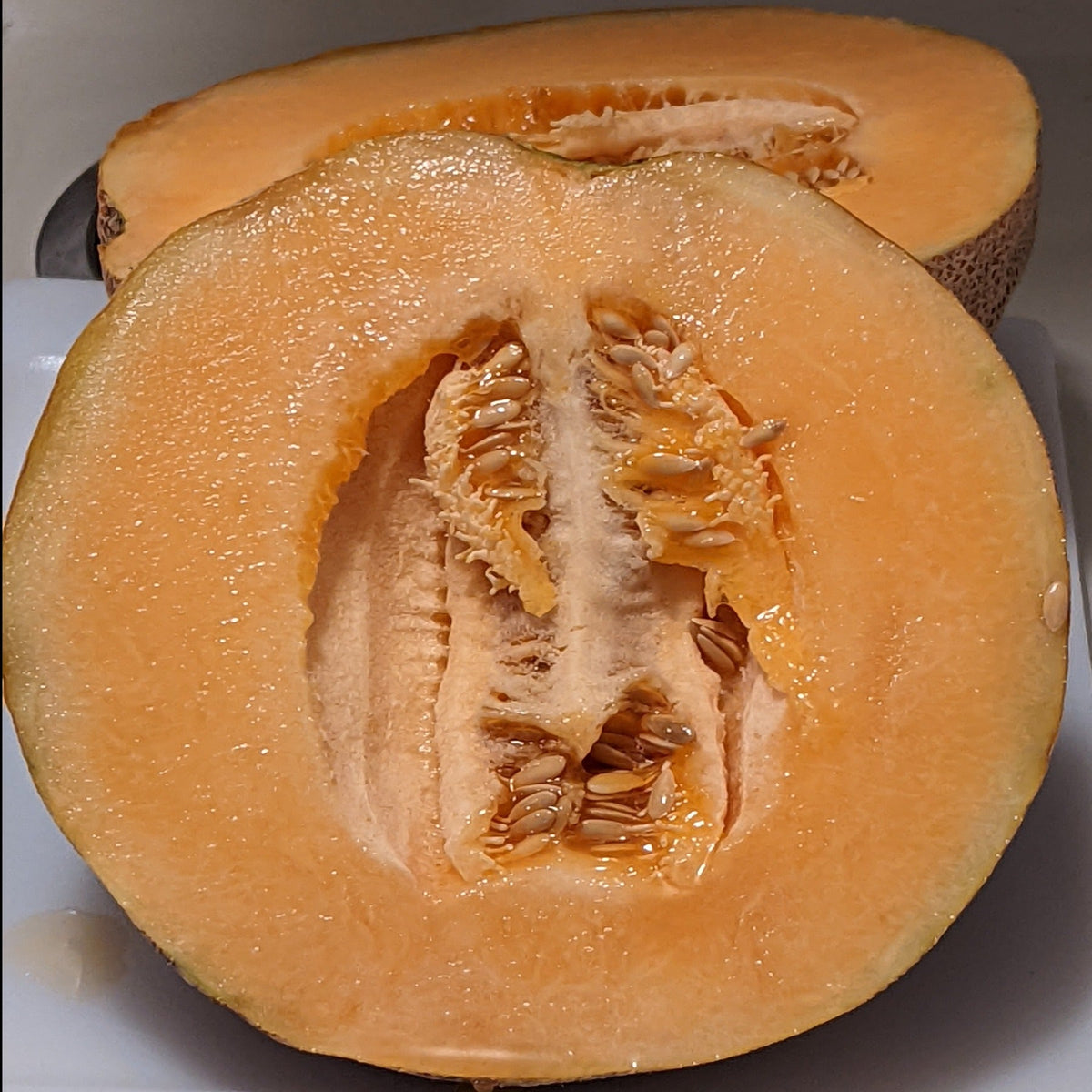 Ambrosia Hybrid Cantaloupe Seeds by Papaws Garden Supply