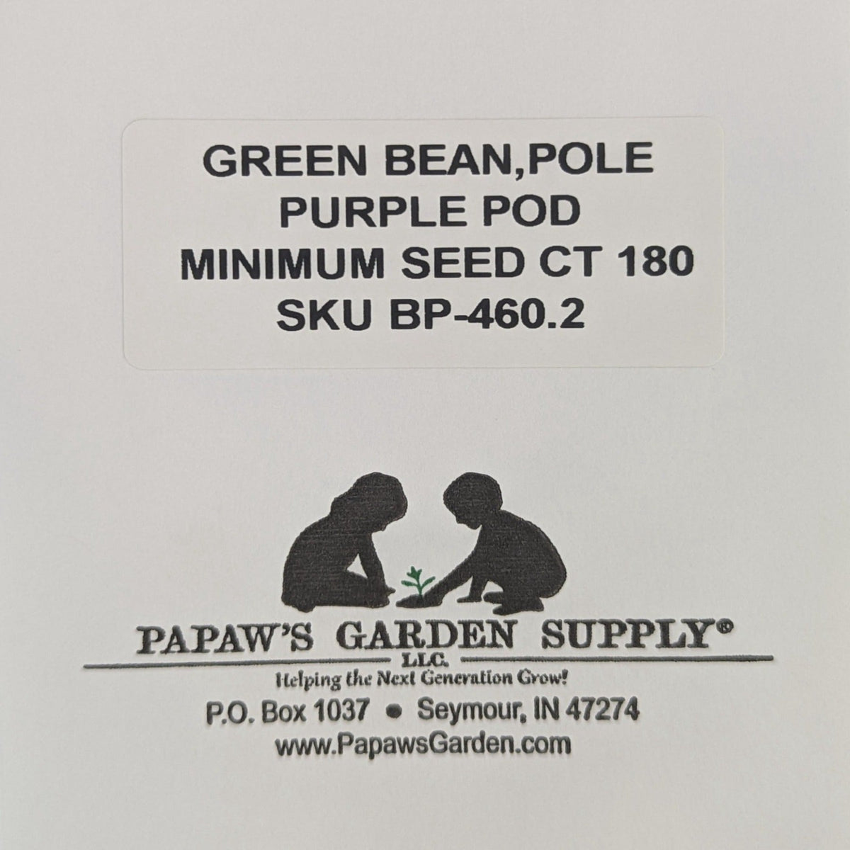 Purple pod Heirloom Pole Bean Seeds, image 3 of 6