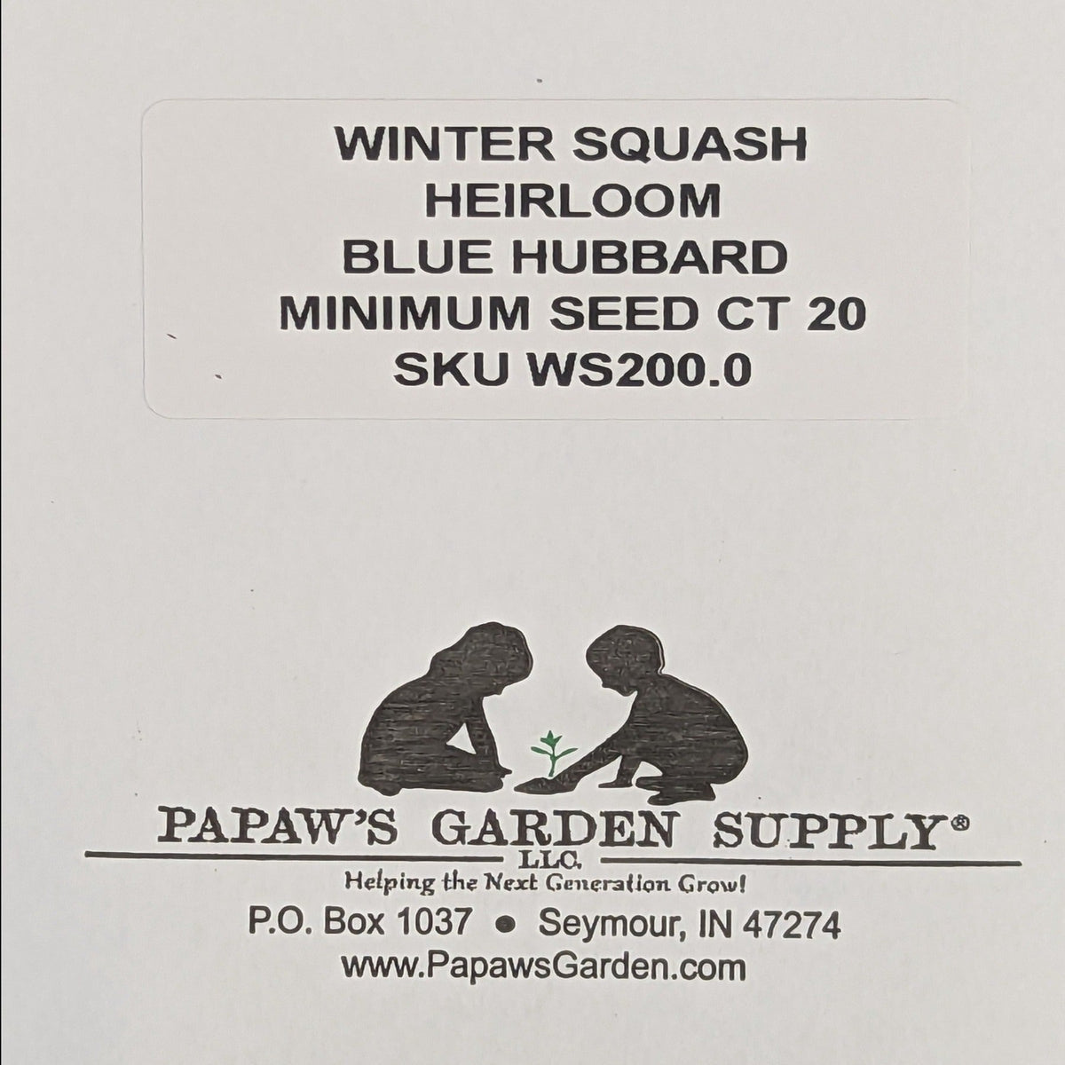 Blue Hubbard Heirloom Winter Squash Seeds, image 2 of 5