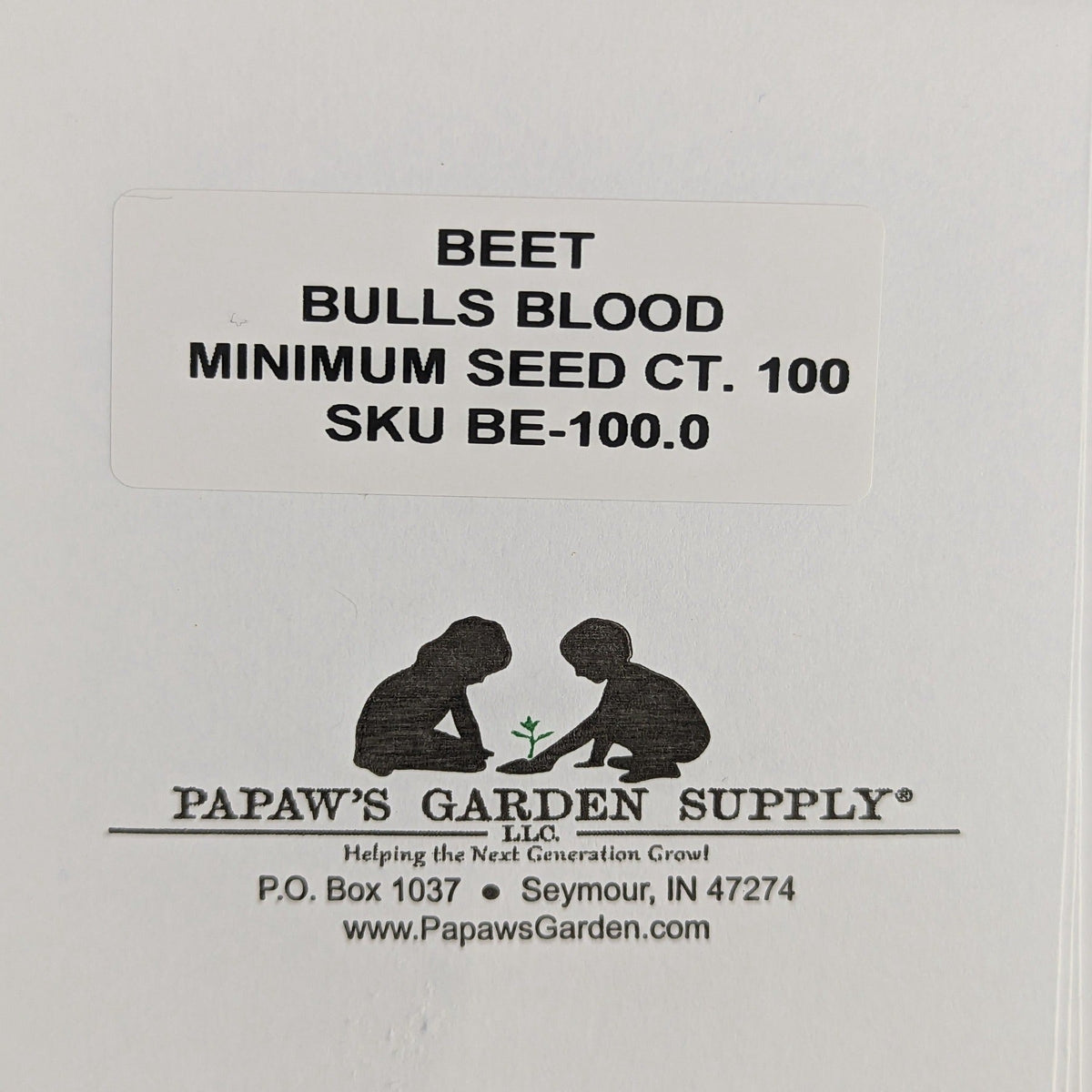 Bulls Blood Beet Root Seeds, image 2 of 6