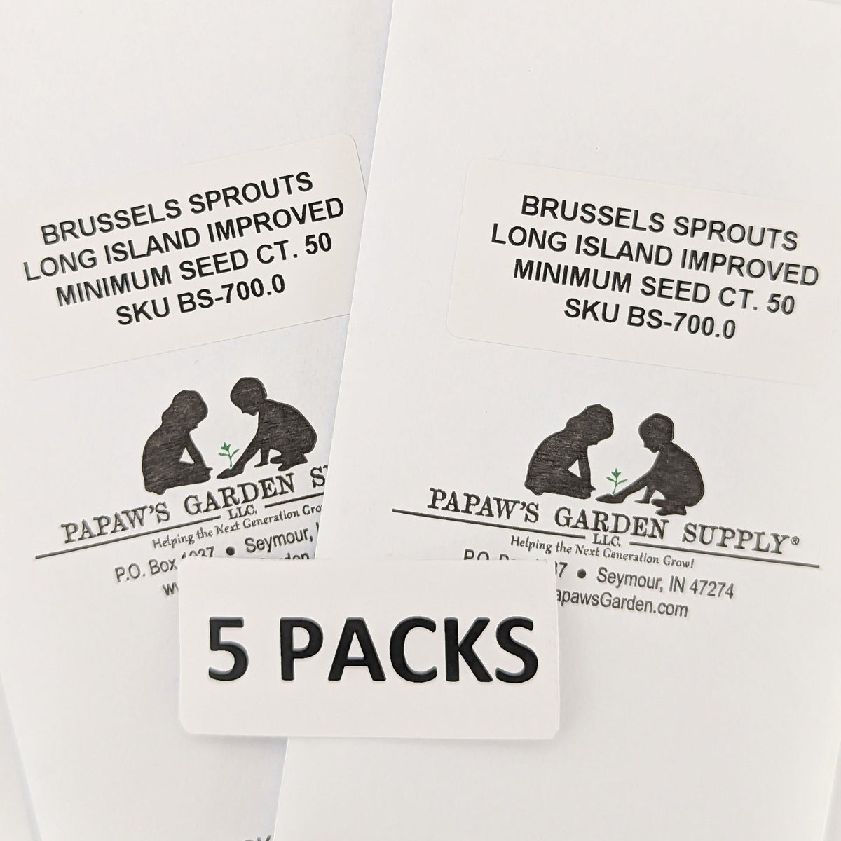Long Island Improved Heirloom Brussels Sprouts Seeds, image 5 of 7