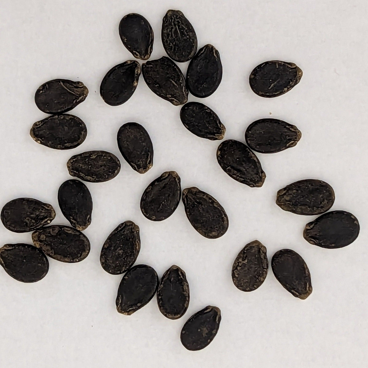 Yellow Gem Sweet Watermelon Seeds, image 2 of 7