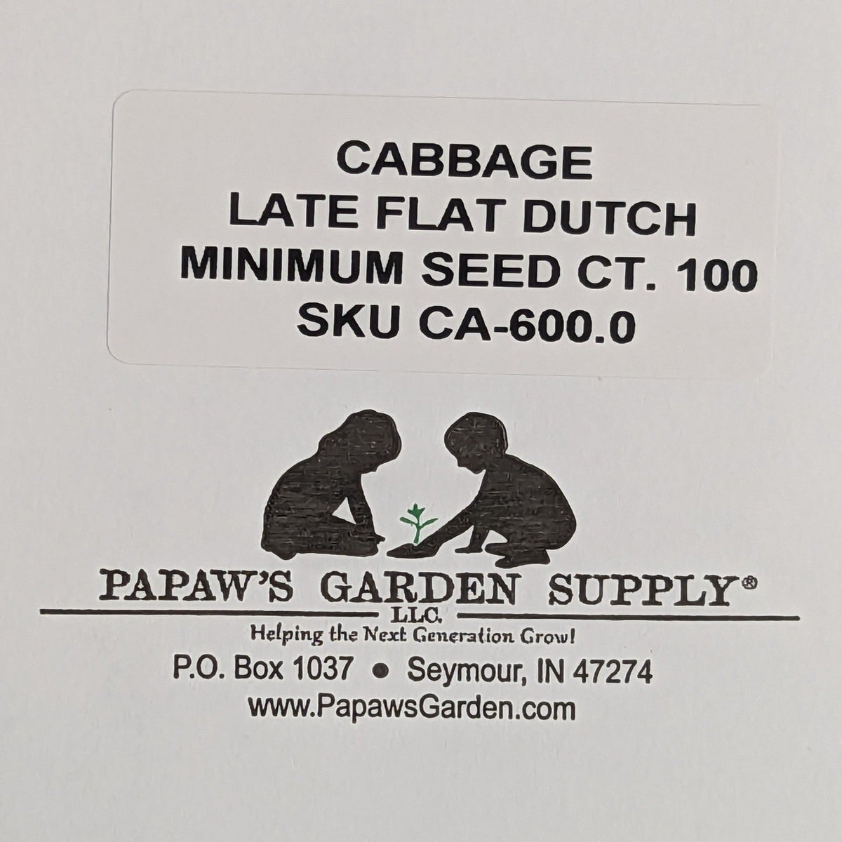 Late Flat Dutch Premium Heirloom Cabbage Seeds, image 3 of 7