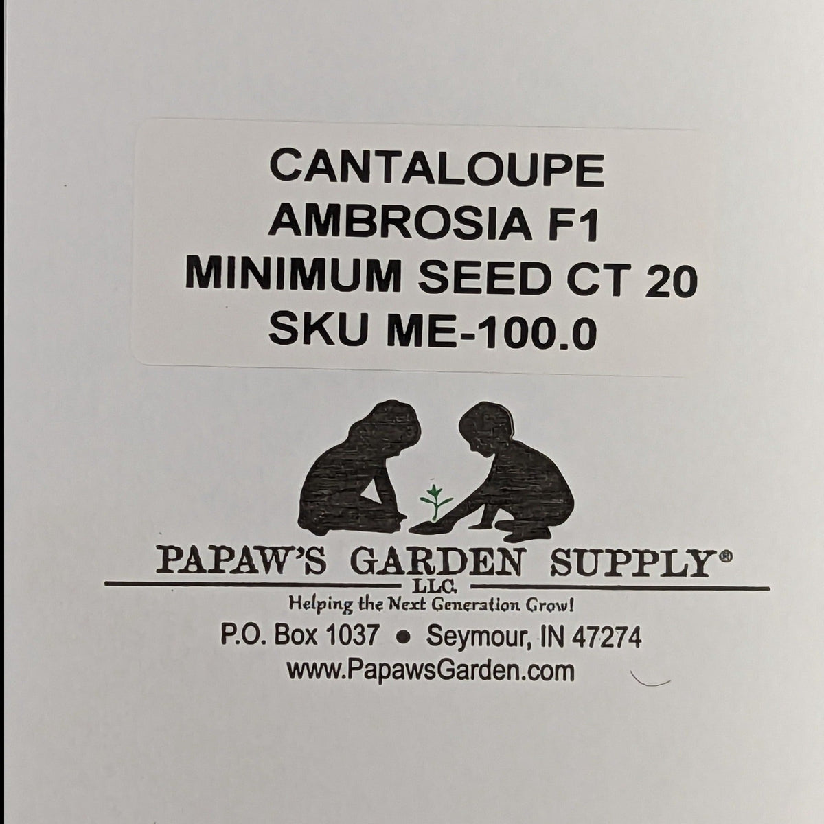Ambrosia Hybrid Cantaloupe Seeds, image 3 of 7