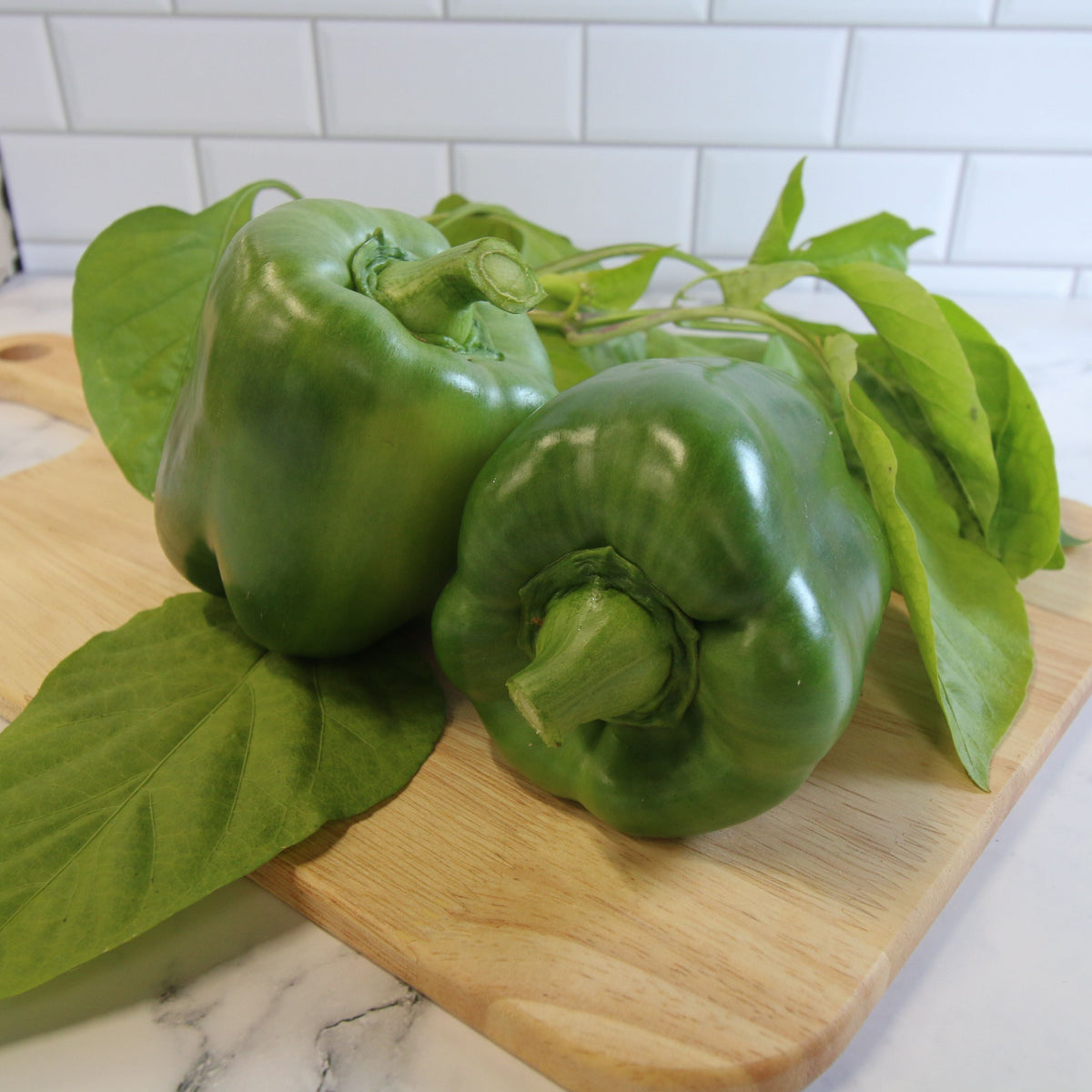 Emerald Giant Bell Pepper by MIgardener
