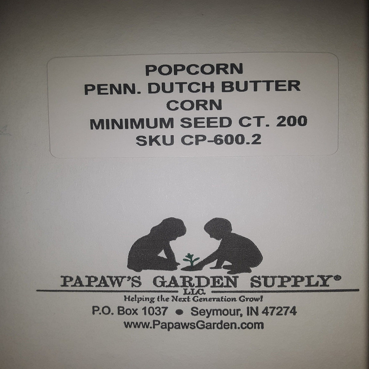 Pennsylvania Dutch Butter Popcorn Untreated Seeds, image 4 of 5