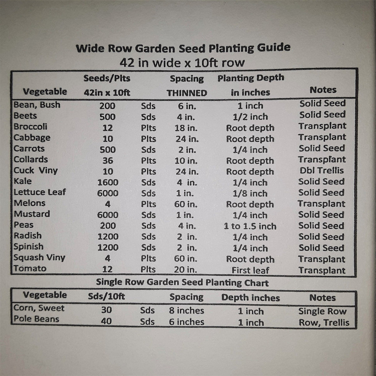 Juliet Treated Hybrid Paste Tomato Seeds
