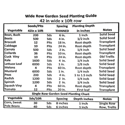 Murdoc Pointed Head Cabbage Seeds