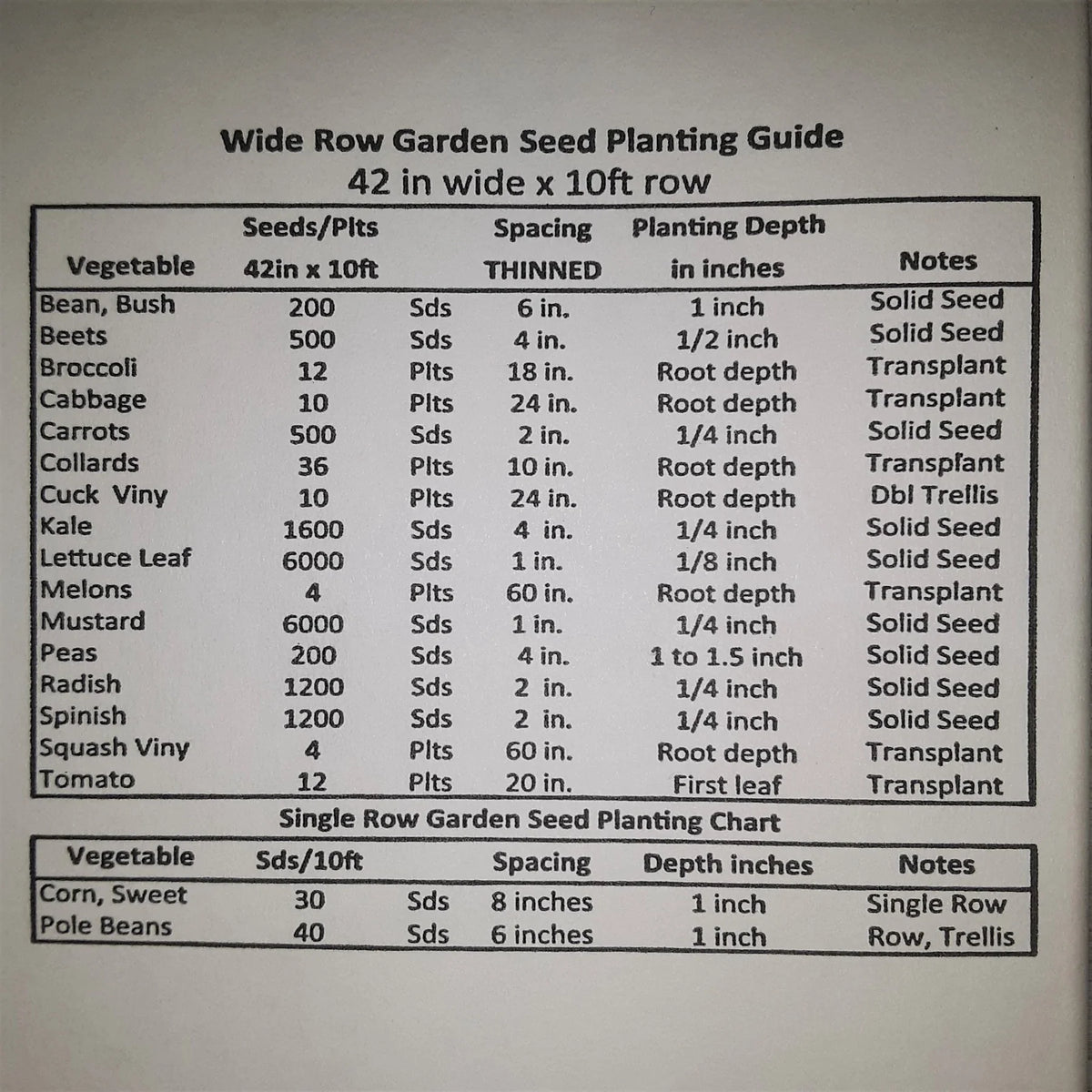 Honey Select Treated Yellow Hybrid Sweet Corn Seed, image 7 of 8