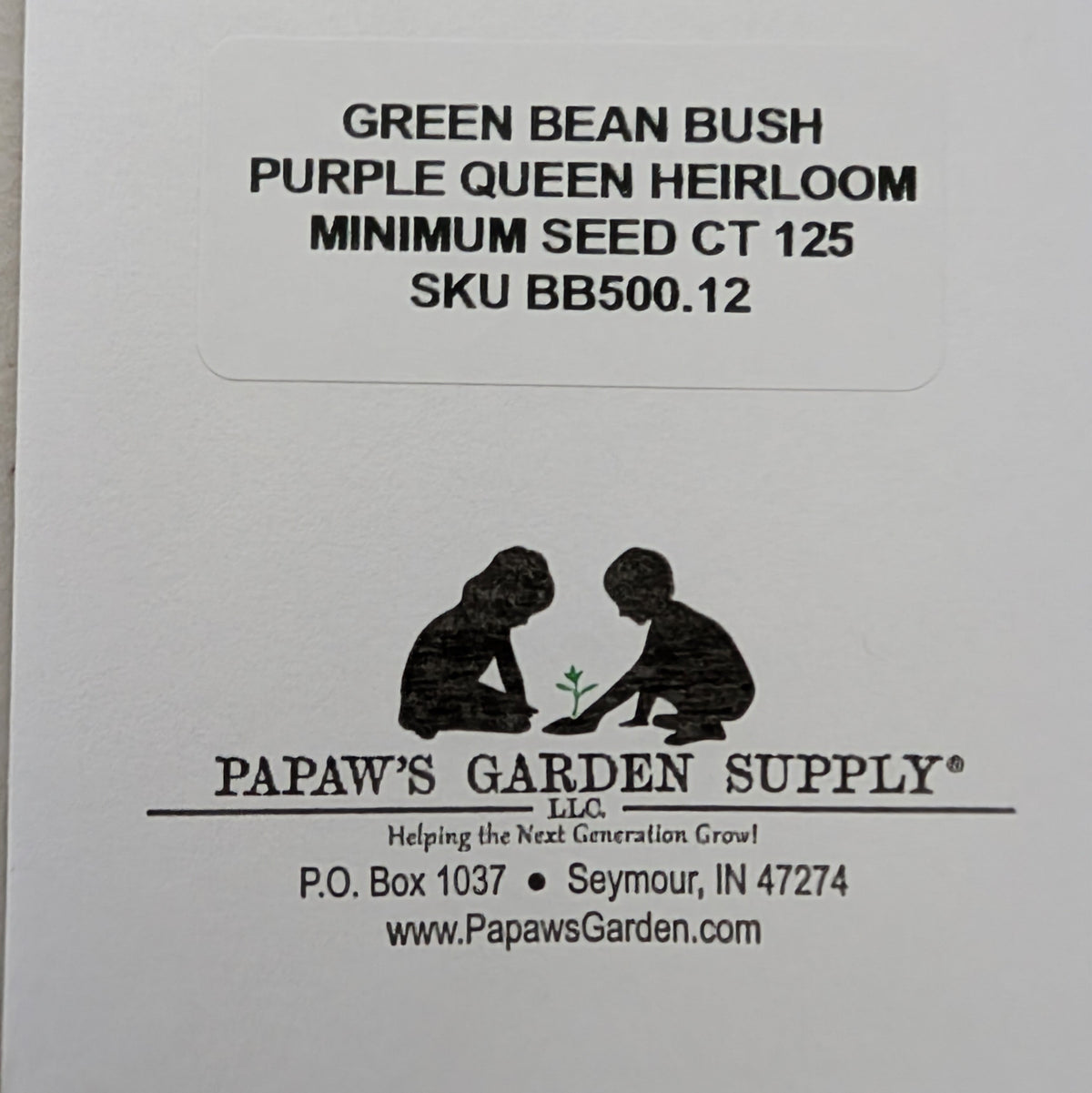 Purple Queen Heirloom Bush Green Bean Seeds, image 3 of 6