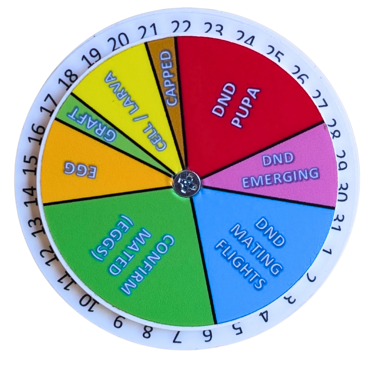 Queen Right Dial - Mating Indicator