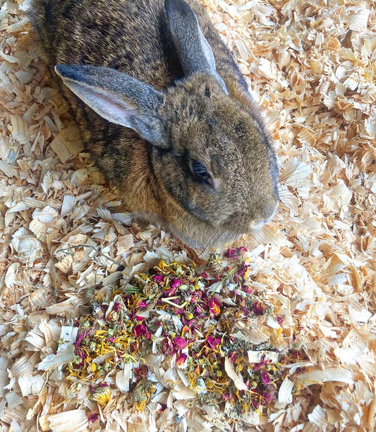 Just The Herbs: Herbal Bedding For Rabbits, Guinea Pigs, Chinchillas, & Hamsters from Dahlia Pets