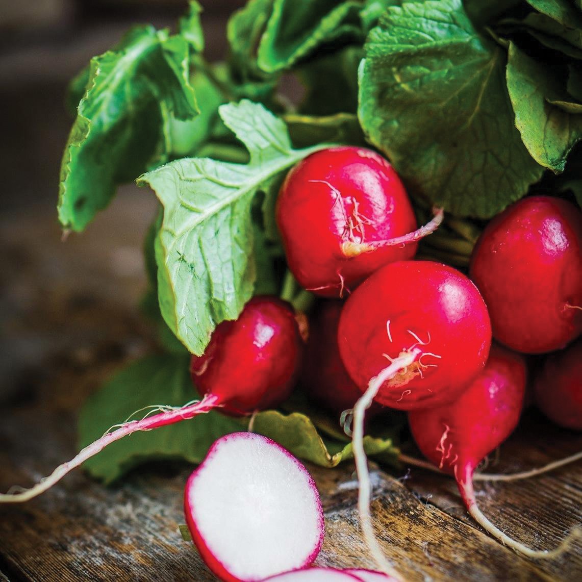 Cherry Belle Radish by MIgardener