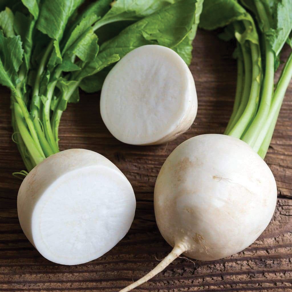 Hailstone Radish by MIgardener