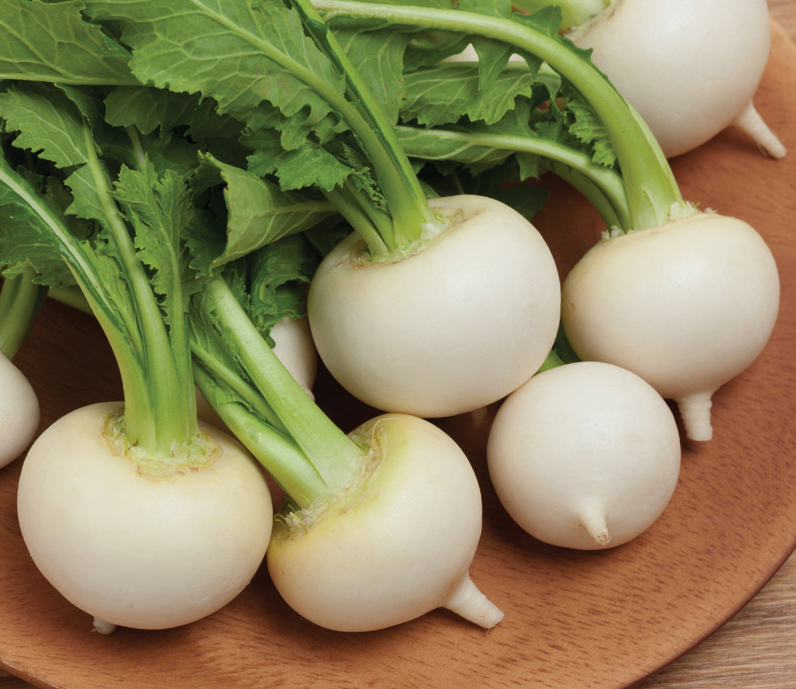 White Egg Turnip by MIgardener