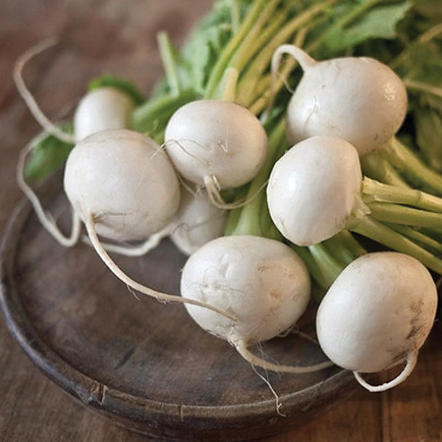 Shogoin Turnip by MIgardener