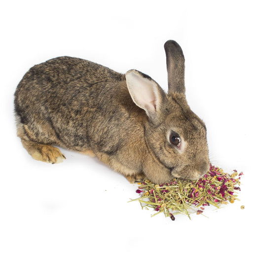 Calming Forage Mix For Rabbits, Guinea Pigs, Hamsters, and Chinchillas (2 ounces) from Dahlia Pets