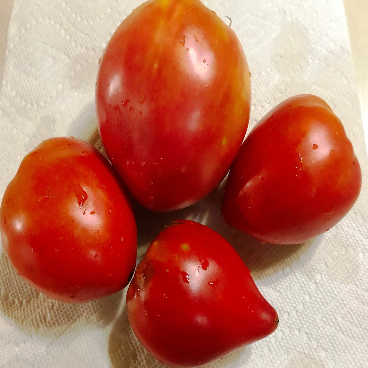 German Red Strawberry Heirloom Tomato Seeds, image 5 of 6