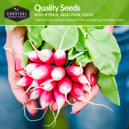 Root Vegetable Seed Collection – Cool-Season Carrots, Turnips, Radishes, Kohlrabi, Rutabagas & Golden Beets