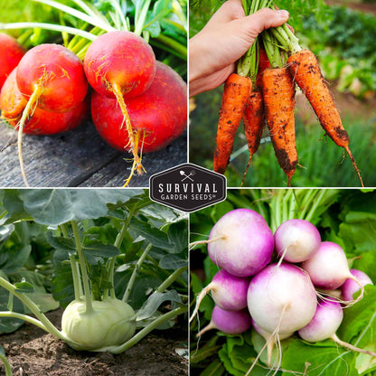 Root Vegetable Seed Collection – Cool-Season Carrots, Turnips, Radishes, Kohlrabi, Rutabagas & Golden Beets