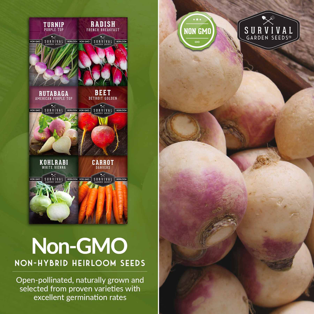 Root Vegetable Seed Collection – Cool-Season Carrots, Turnips, Radishes, Kohlrabi, Rutabagas & Golden Beets