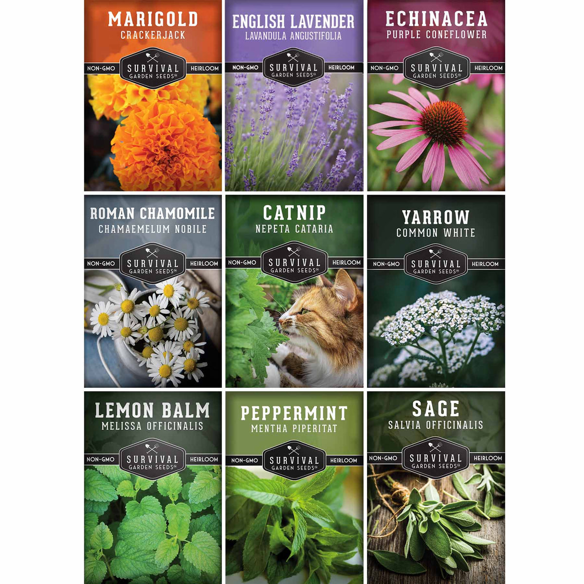 Medicinal Tea Herb Seeds Collection – 9 Heirloom Non-GMO Herbs for Calming Teas, Wellness & Home Apothecary Gardens
