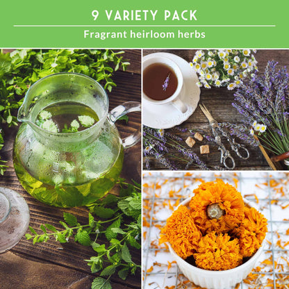 Medicinal Tea Herb Seeds Collection – 9 Heirloom Non-GMO Herbs for Calming Teas, Wellness & Home Apothecary Gardens