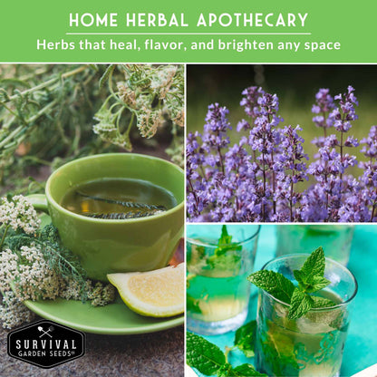 Medicinal Tea Herb Seeds Collection – 9 Heirloom Non-GMO Herbs for Calming Teas, Wellness & Home Apothecary Gardens