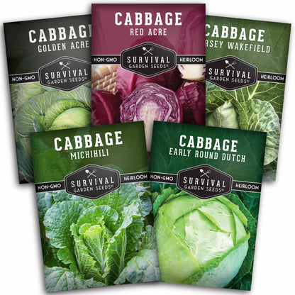 5-Variety Heirloom Cabbage Seed Collection – Non-GMO Green, Red & Napa Cabbages for Spring and Fall Gardens