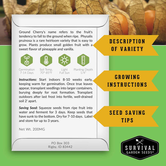8-Variety Heirloom Fruit Seed Collection – Non-GMO Rhubarb, Melon & Watermelon Seeds for Home Gardens