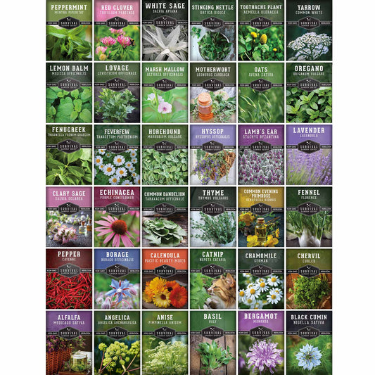 Medicinal Herb Seed Collection – 36 Heirloom Varieties to Grow Your Own Apothecary