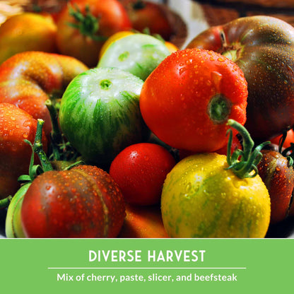 10 Tomato Seed Collection – Heirloom & Garden Favorites for Slicing, Sauces, Canning & Fresh Eating