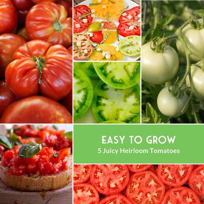 Slicing Tomato Seed Collection – 5 Heirloom & Beefsteak Varieties for Large, Meaty Sandwich Tomatoes