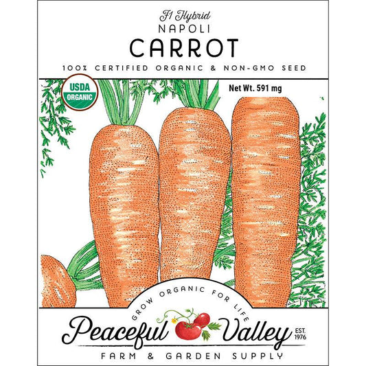 Napoli Carrot Seeds (Organic), Garden from Grow Organic
