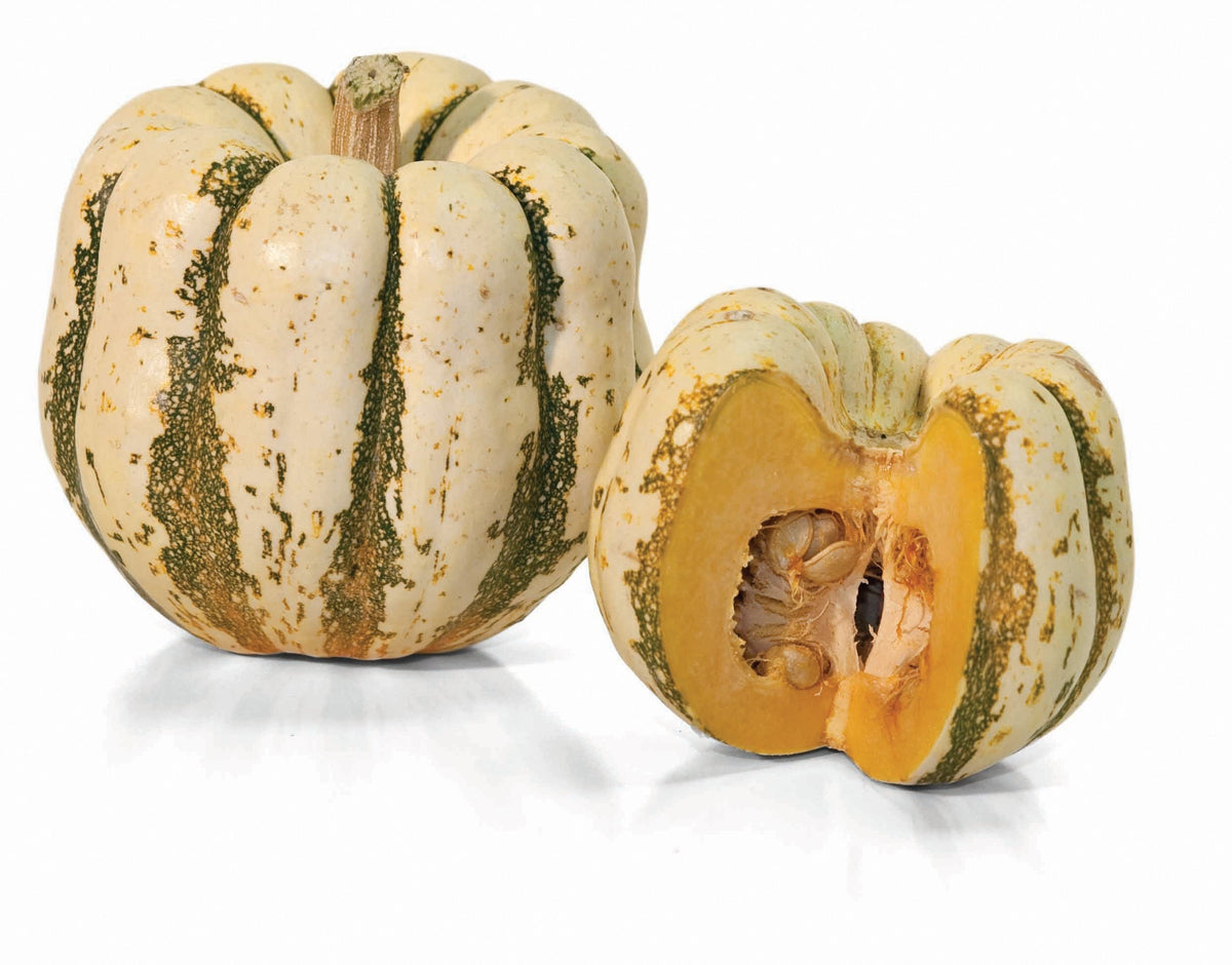 Sweet Dumpling Squash by MIgardener