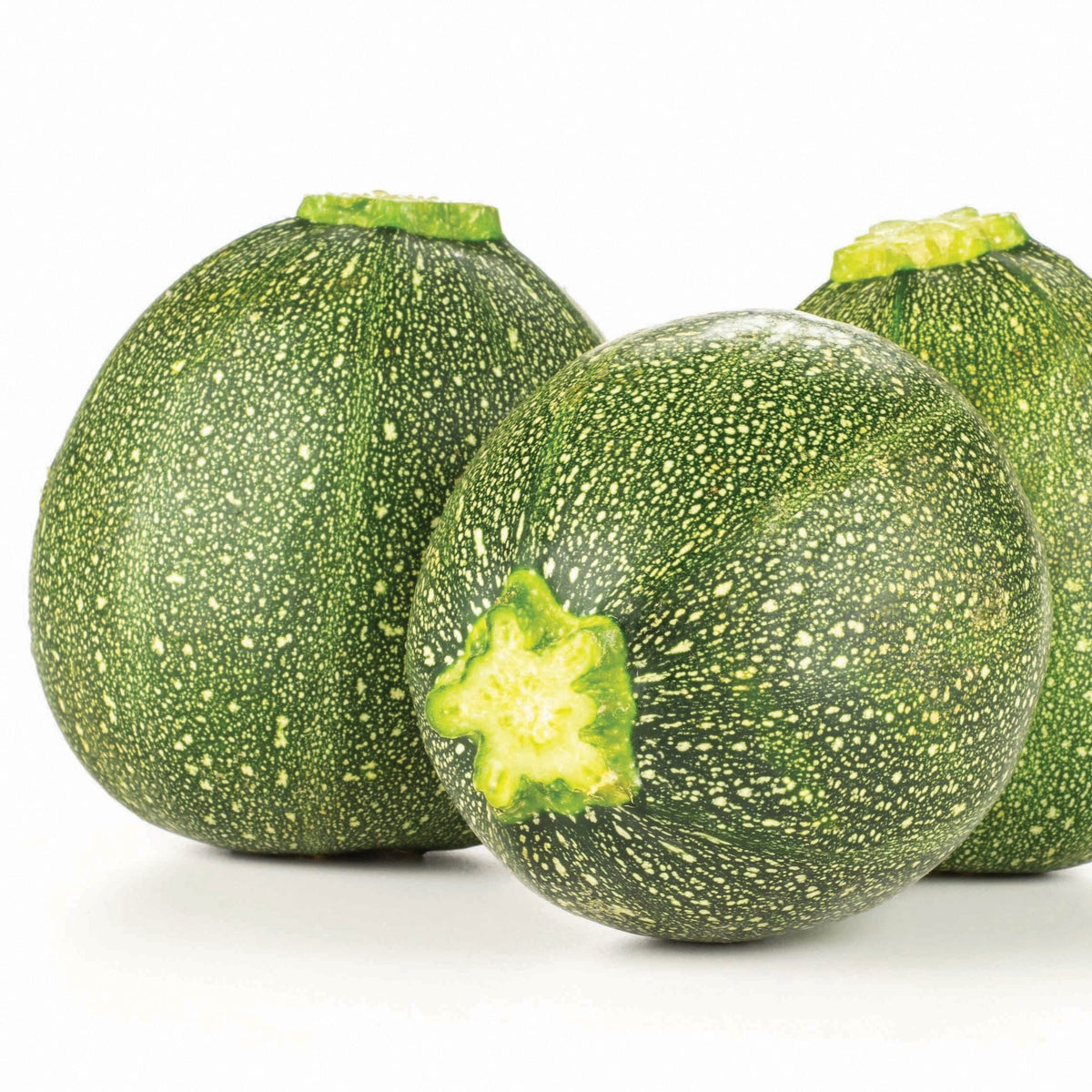 Round Zucchini by MIgardener