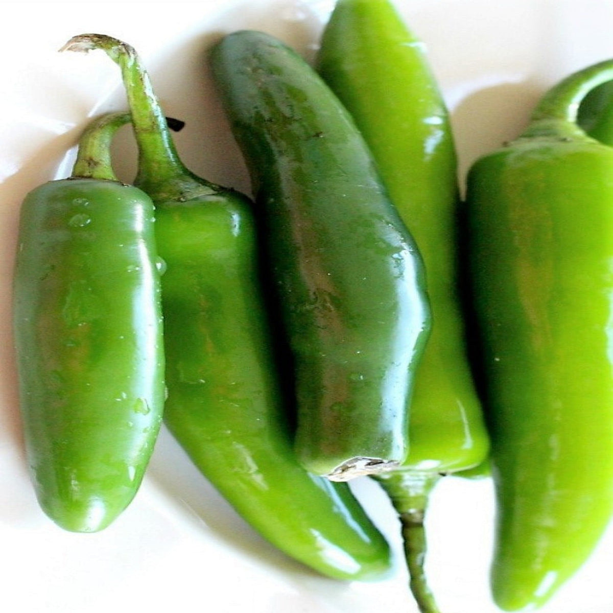 Serrono Tampiqueno Hot Pepper Seeds by Papaws Garden Supply